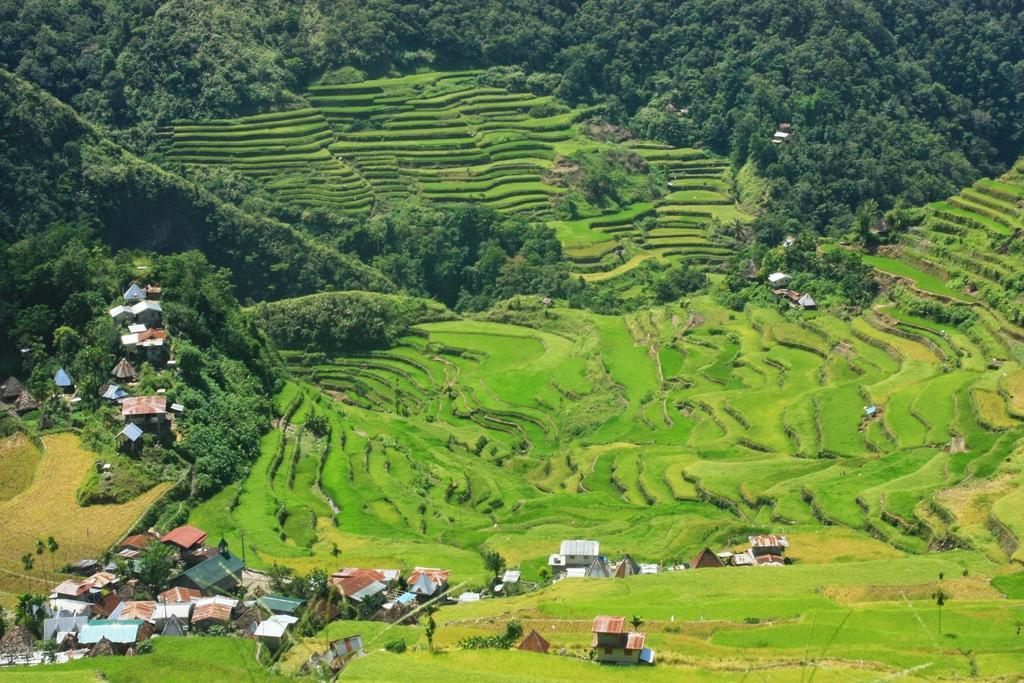 Batad Transient House Hotel Banaue Exterior photo