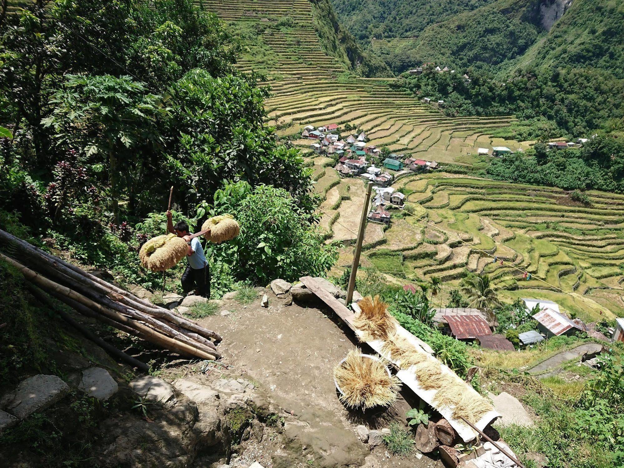Batad Transient House Hotel Banaue Exterior photo