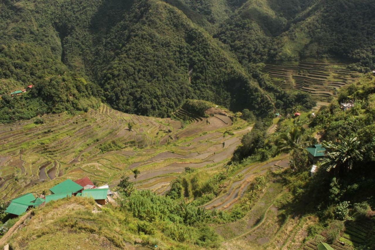Batad Transient House Hotel Banaue Exterior photo